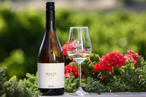 Malva από την Ιδαία Οινοποιητική 